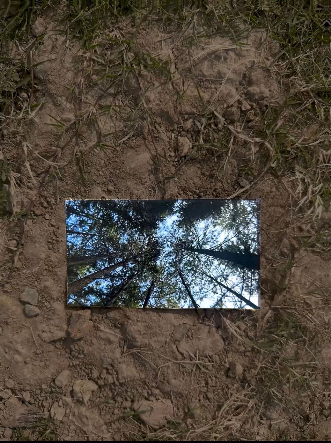 Stop motion still five